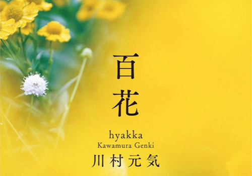 映画『百花』川村元気の原作 読んでみた。女の性（サガ）がテーマ？